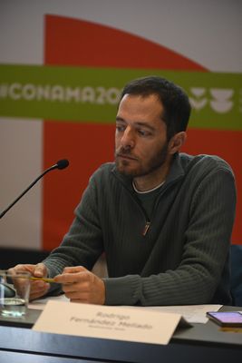Rodrigo  Fernández-Mellado
